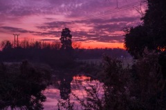 IMG_1338